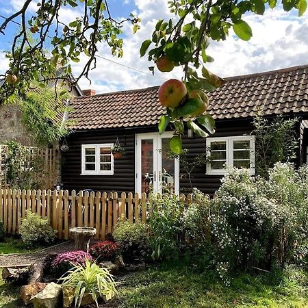 Cosy Studio Retreat In Wells, Somerset Luaran gambar