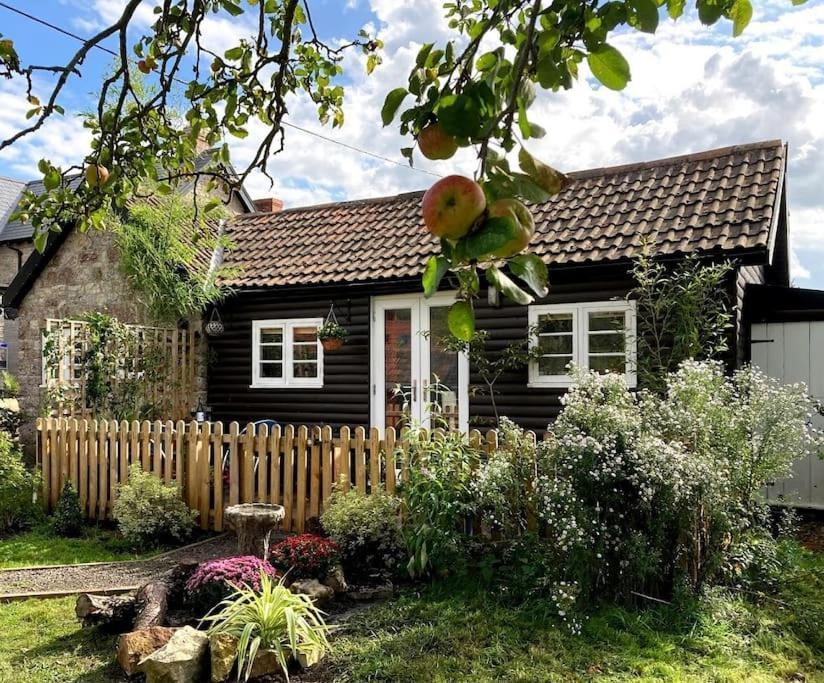 Cosy Studio Retreat In Wells, Somerset Luaran gambar